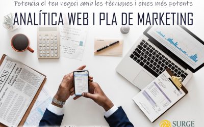 CURS D’ANALÍTICA WEB I PLA DE MARKETING DIGITAL
