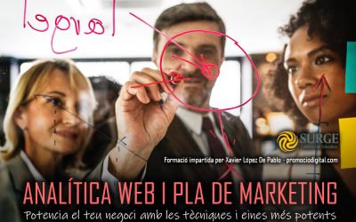 CURS D’ANALÍTICA WEB I PLA DE MARKETING DIGITAL