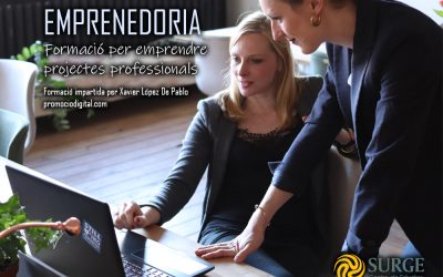 CURS EMPRENEDORIA